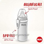 NUK Active Cup Trinklernbecher | 12+ Monate | auslaufsichere Trinkschnabel | Clip & Schutzkappe | BPA-frei | 300 ml | Disney Winnie Puuh | Blau