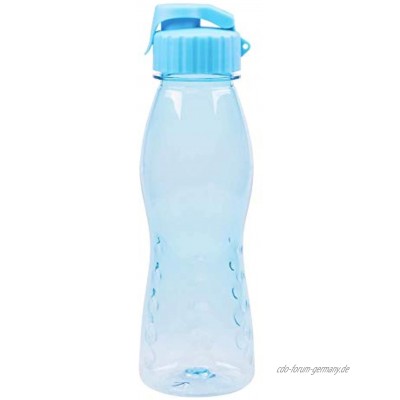 culinario Trinkflasche Flip Top BPA-frei 700 ml Inhalt hellblau