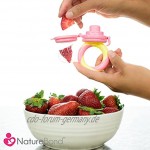 NatureBond Fruchtsauger Baby Schnuller in appetitanregenden Farben 2 Stück Fruchtsauger Baby ab 3 Monate und Kleinkind Beißring für Obst Gemüse Brei BPA frei 6 Silikon Sauger in 3 Größen