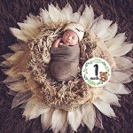 Wenyounge 12 Stück Set Neugeborene Meilenstein Memorial Monat Aufkleber Blumen Baby Monatliche Aufkleber Fotografie Gedenkkarte