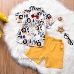 cover Baby Kleidung Jungen Sommer Löwe T-Shirt + Shorts Oberteile Bekleidungsset