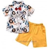 cover Baby Kleidung Jungen Sommer Löwe T-Shirt + Shorts Oberteile Bekleidungsset
