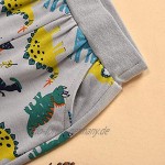 Kleinkind Jungen Karikatur Dinosaurier T-Shirt Tops + Hosen Outfits Einstellen