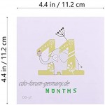 TOYANDONA 1 Set Baby Monatliche Milestone Aufkleber Cartoon Tier Neugeborenen 12 Monat Milestone Bauch Aufkleber Andenken Album