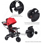 Zerone Dreirad für Babys faltbar tragbar mit Vorzelt für Kinder von 1 bis 5 Jahren – Sicherheitsgurt – tragbare Tasche