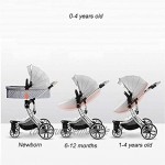 JINHH Two Way Mode Kinderwagen 2 In 1 Baby-Jogger Neugeborene Prams Kleinkinder Bassinet Falten Reclining Yangmi